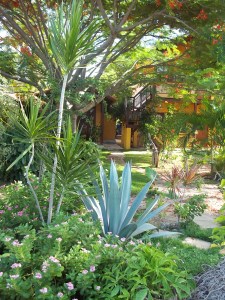 jardim