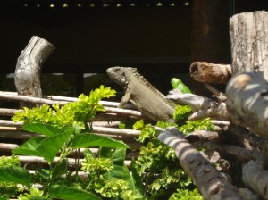 DSC05676